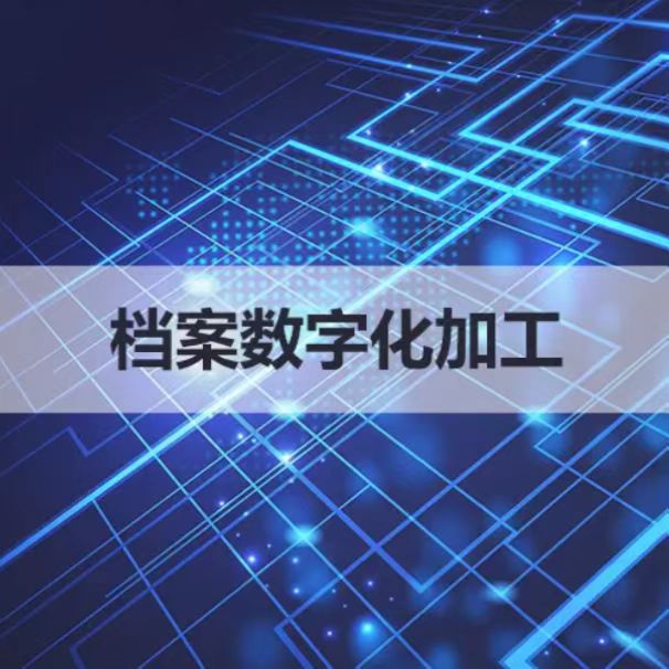 档案数字化加工业绩多